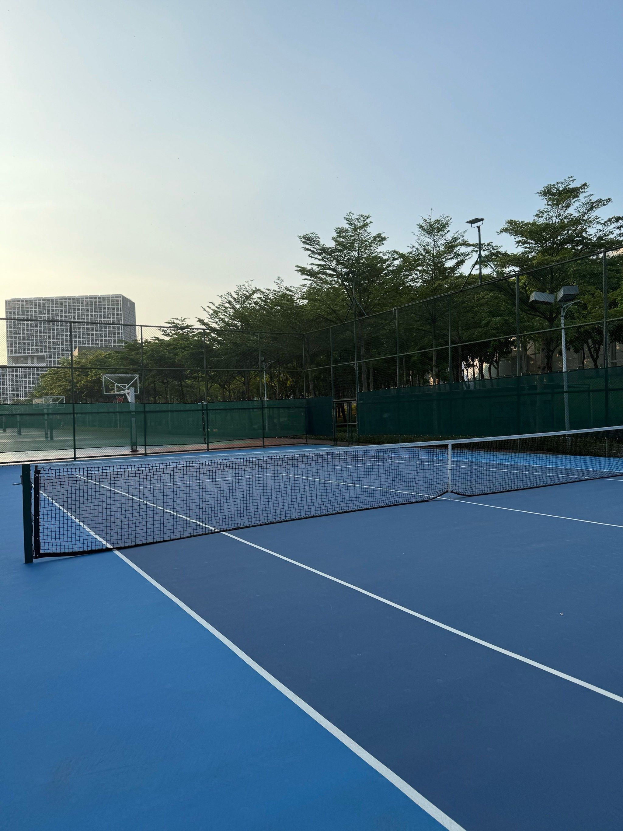 却寥寥无几 却寥寥无几