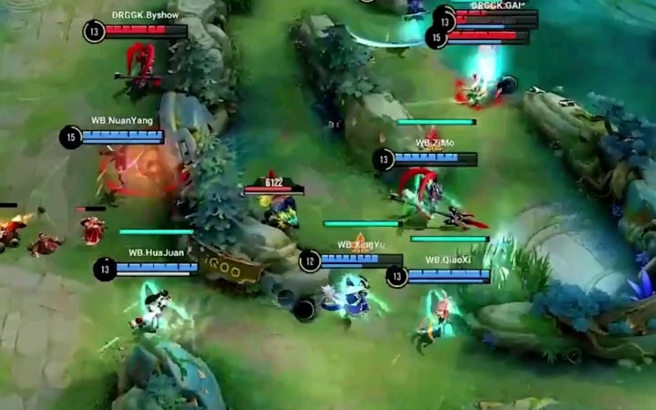 的一把好手 的一把好手