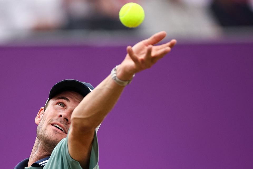 先成绩和林 先成绩和林