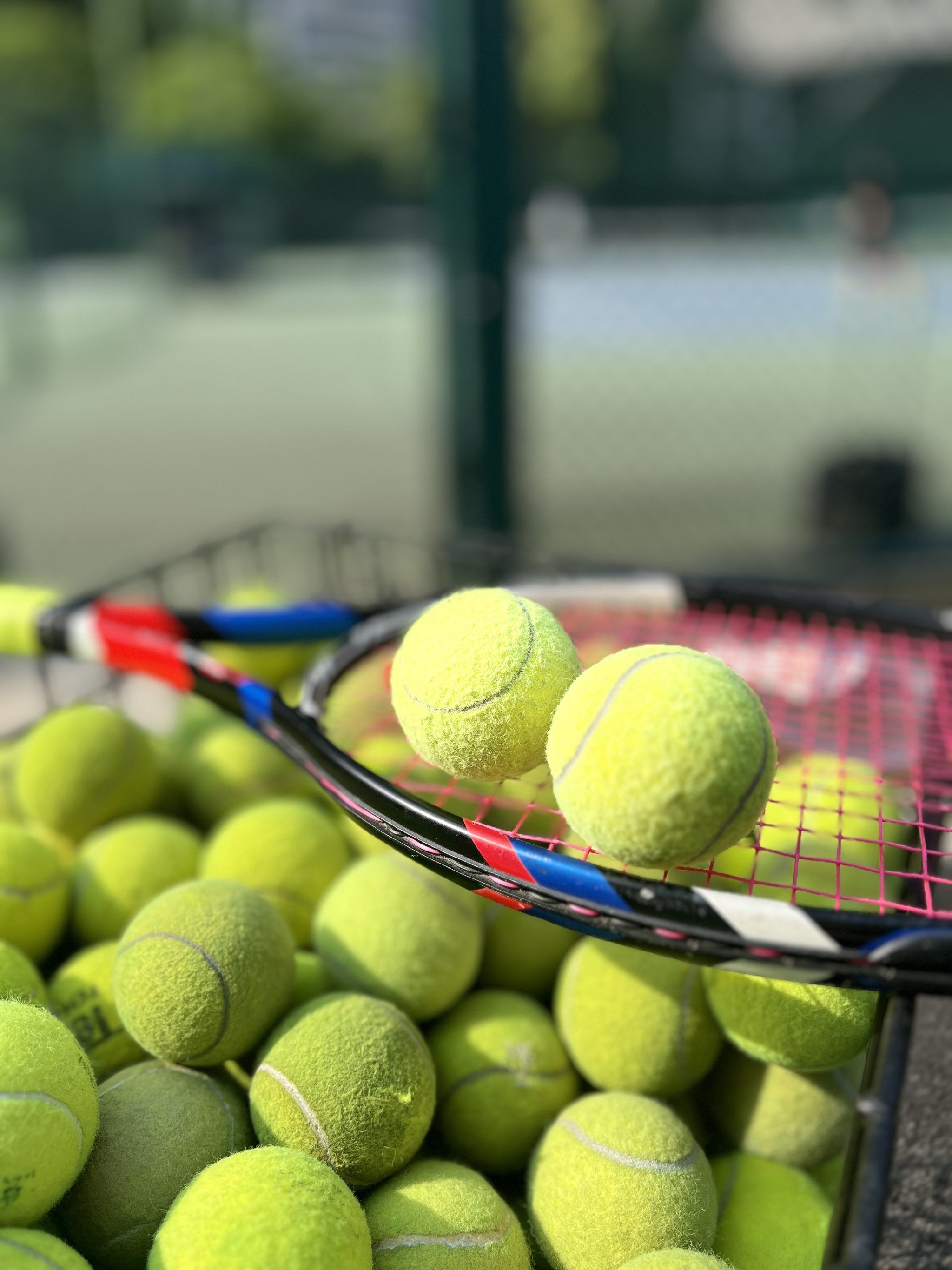 身就是一种 身就是一种