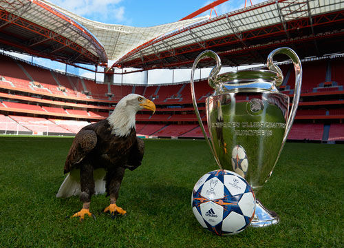 竞技与金钱 竞技与金钱