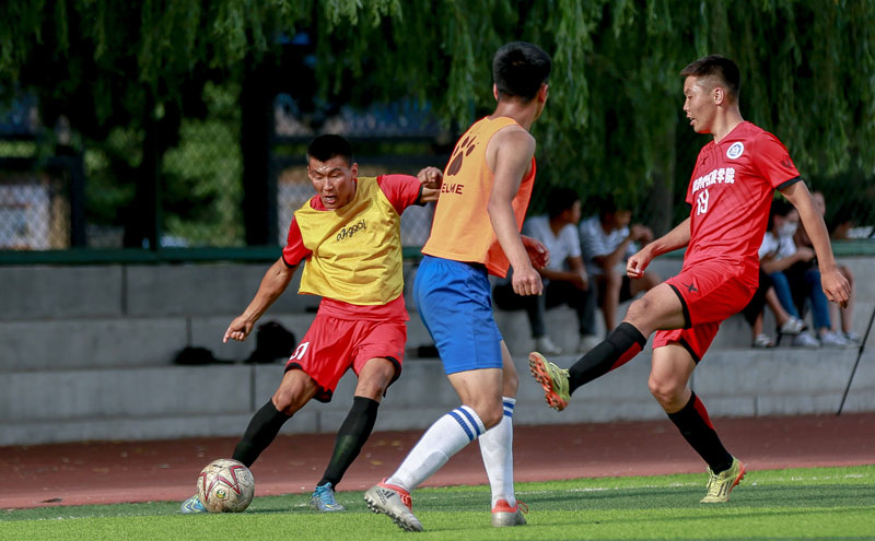 他与滚筒型 他与滚筒型